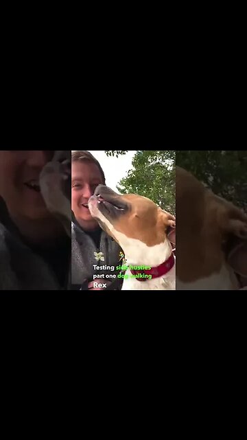 Dog Walking Side Hustle Review! How Much Can You Make? #shorts