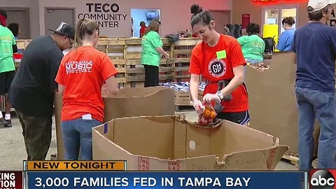 Feeding Tampa Bay