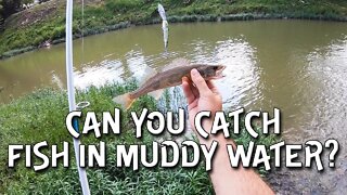 Fishing the Little Miami River in muddy conditions (Cincinnati, Ohio)