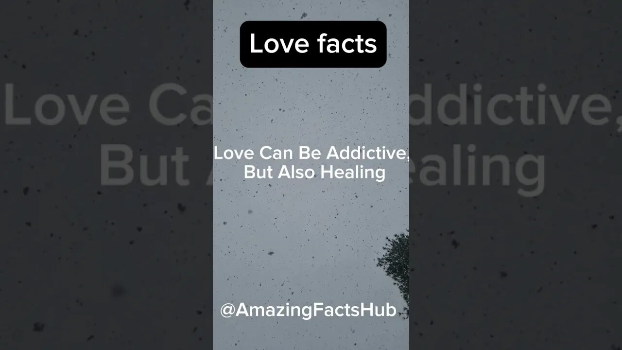 Amazing Love Facts | Love Facts for couples | deep Facts #shorts #youtube #trending #lovestatus