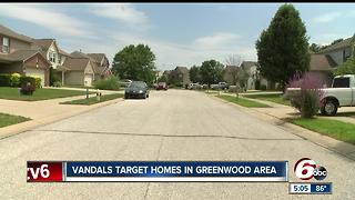 Vandals target homes in Greenwood area