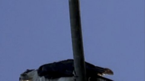 Osprey Spies on Me?!- 4K