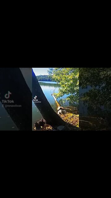 The Angel's was following me