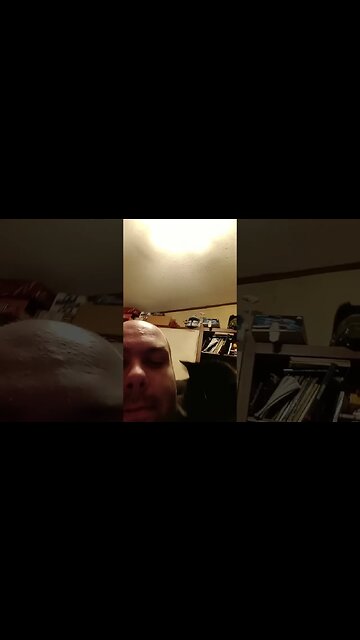 Happy holidays from Isaac and Friends #shorts #shortsfeed #shortsvideo #youtubeshorts #catvideos