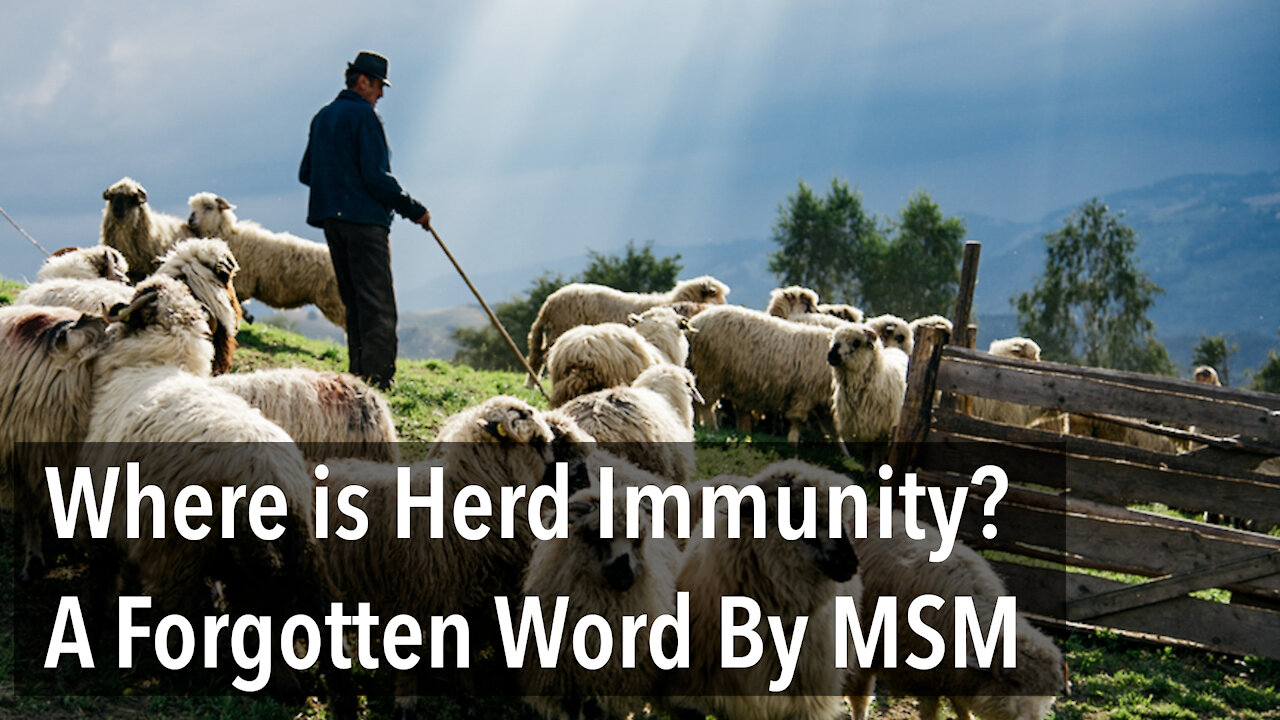 Where is Herd Immunity? A Forgotten Word From MSM And Here Is Why You Never Heard It Now