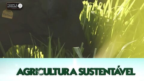 Agricultura Sustentável: Com Frederico Olivi.