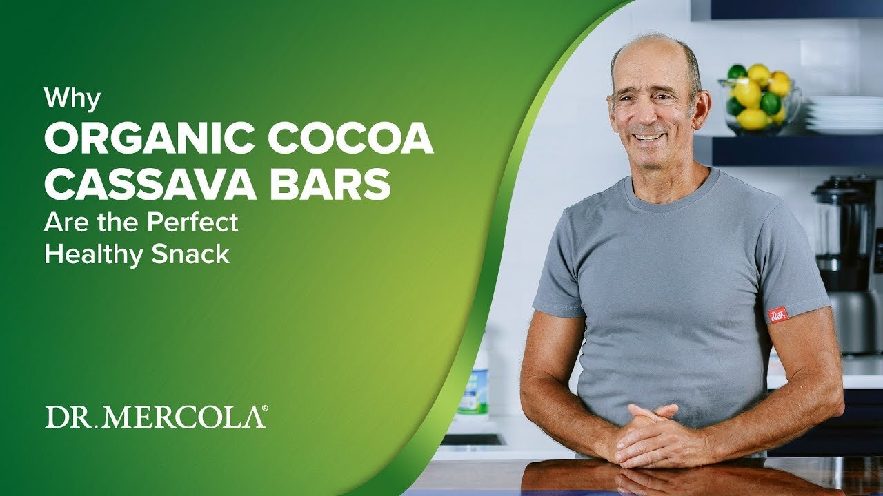 Why ORGANIC COCOA CASSAVA BARS Are the Perfect Healthy Snack