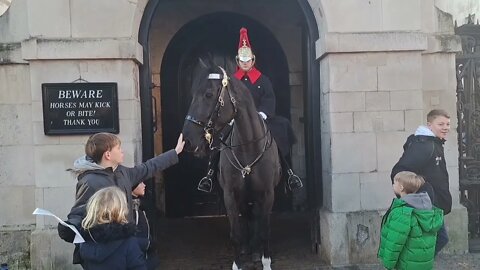 Kids glove scares horse #horseguardsparade