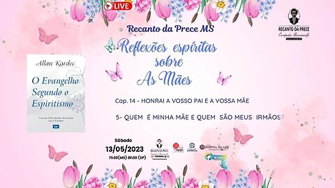 Reflexões espíritas sobre as Mães