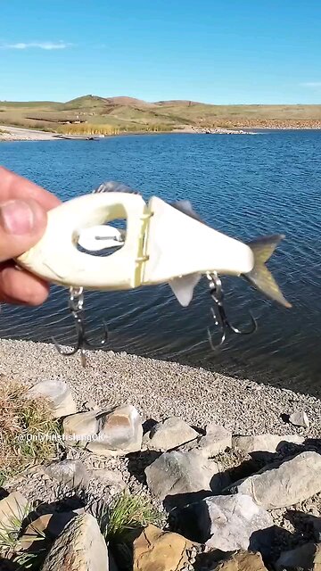 Has anyone caught anything on this lure?