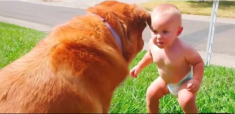 Baby and dog funny video