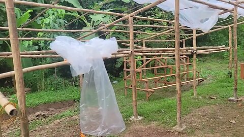 hydroponic farm construction tour