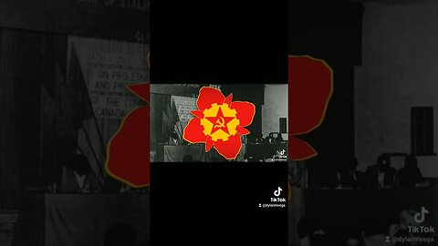 The Party Is The Most Precious Thing Don't Ever Forget That