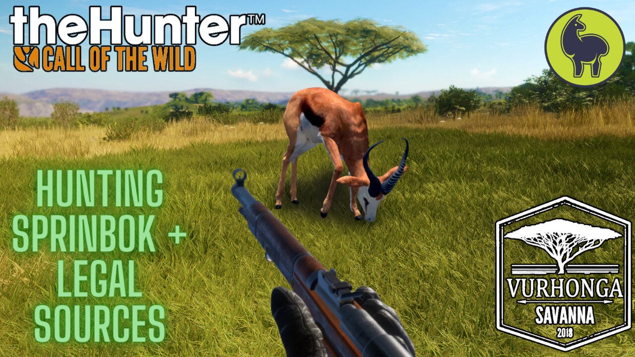 Hunting Springbok & Legal Sources, Vurhonga Savanna | theHunter: Call of the Wild (PS5 4K)