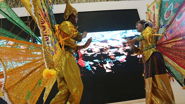 Wonderful peacock love dance from magic land of Myanmar