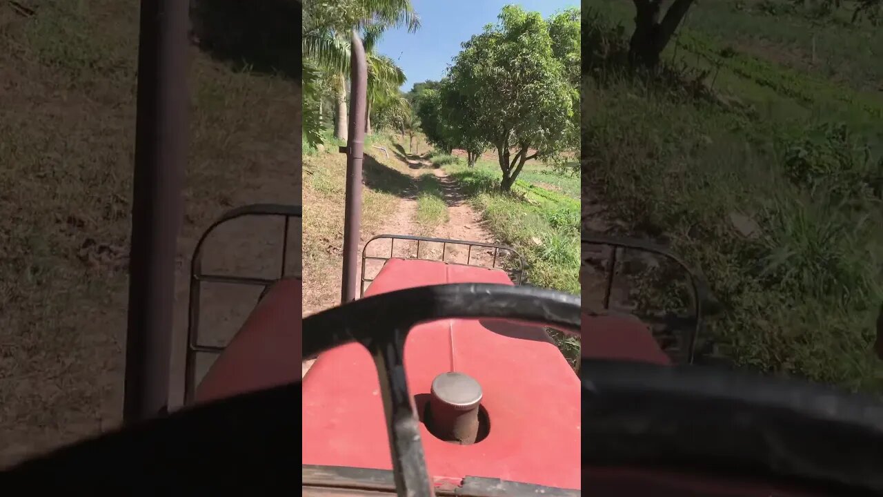 #agriculture #farming trator #tractor