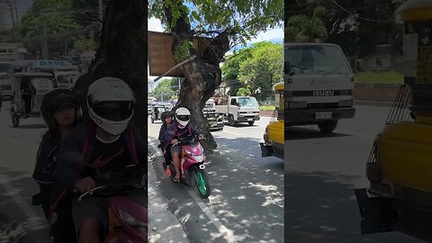 Jeepneys Avoid Tree on Highway #shorts #shortvideo #short #shortsvideo