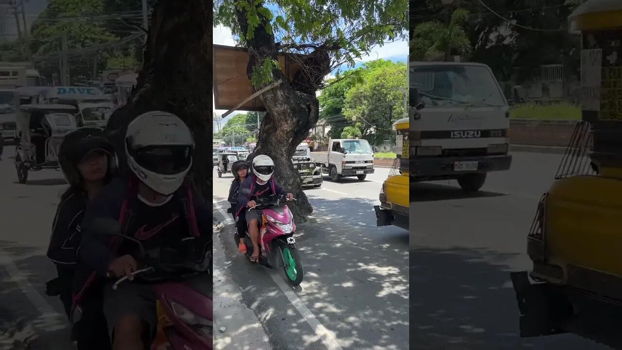 Jeepneys Avoid Tree on Highway #shorts #shortvideo #short #shortsvideo