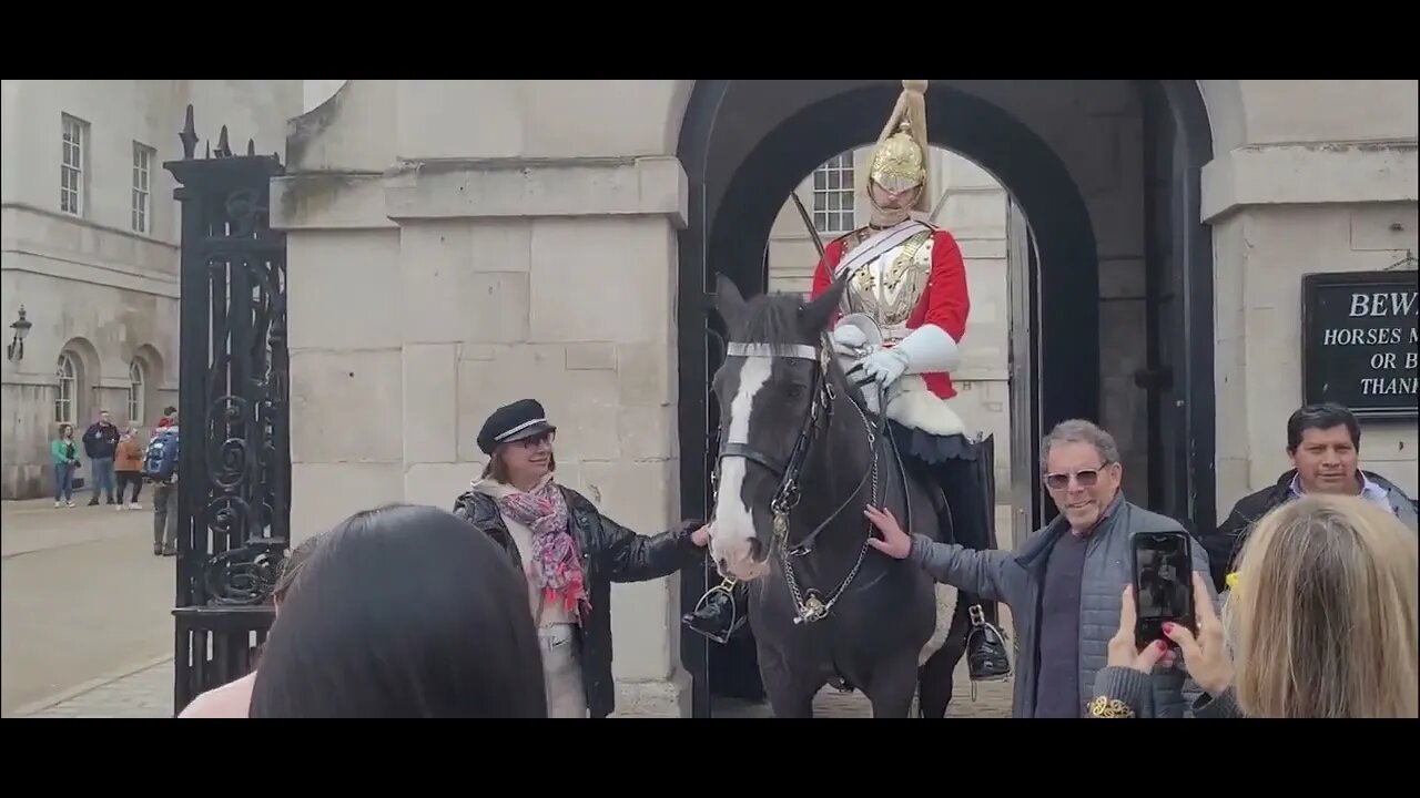 Touching the kings guard boot #horseguardsparade #horseguardsparade