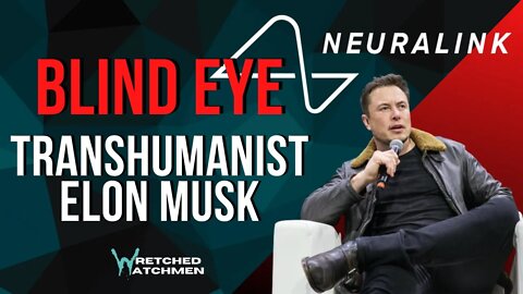 Blind Eye: Transhumanist Elon Musk