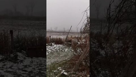 #snowing #slomo #ontario