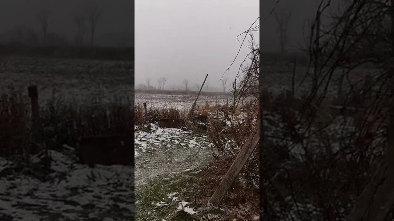 #snowing #slomo #ontario