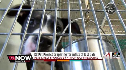 KC Pet Project expects influx of pets after 4th of July