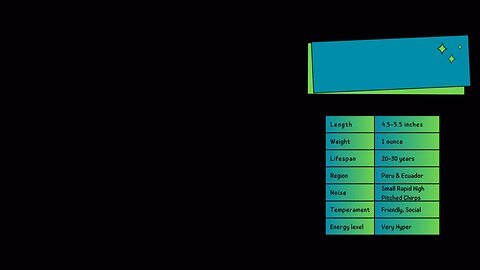 Pacific Parrotlets Info Sheet