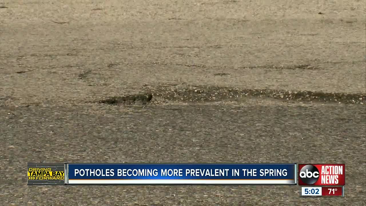 What's growing this Spring? Potholes!