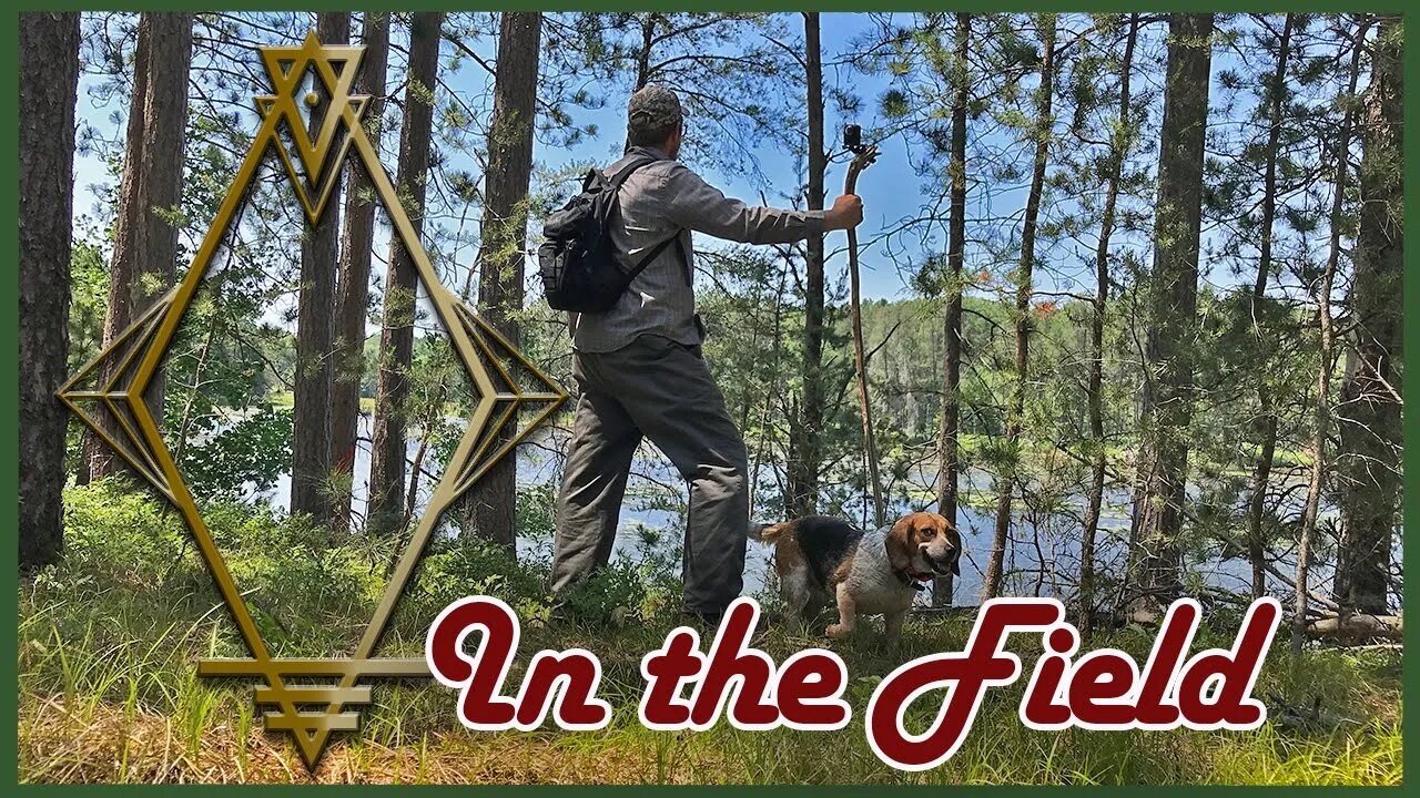Looking for Rabbits - A Hike in the Michigan Woods