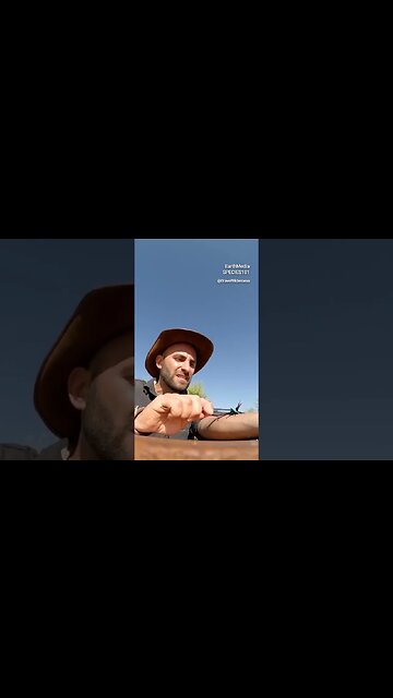 The Most Painful Stings in the World