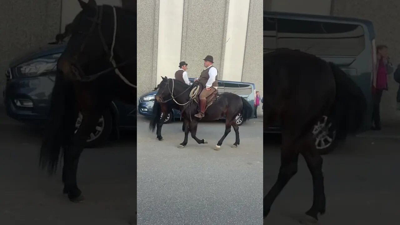 Best riders in #FieraCavalliVerona2022 🤠