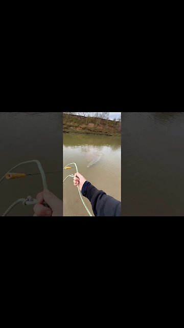 Winter Time Alligator Gar Fishing 🦖 #fishing