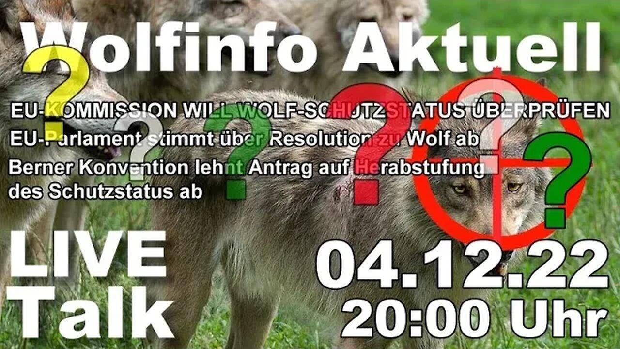 Wolfinfo Aktuell LIVE TALK (Wird der Schutzstatus der Wölfe gesenkt ?)