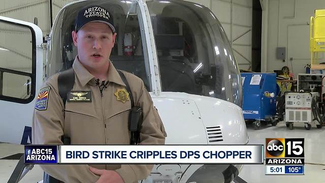 Bird strike cripples Arizona DPS chopper