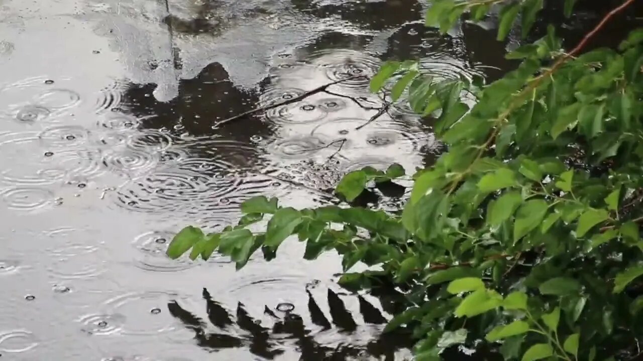 Rain to Relax to On My Patio for Insomniacs (1 hour)