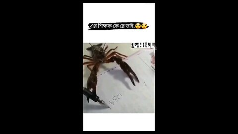 Who is the teacher of this crab?