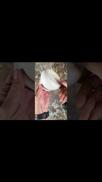 Goodbye Tacky Souvenirs: Thrift Store Upcycling Transformations that Amaze! 👋✨