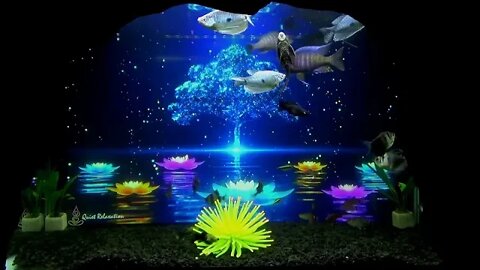 Chill Out & Relax Tree Of Life