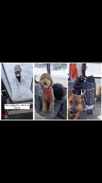 03-10-2023 Tuesday 12:17 PM