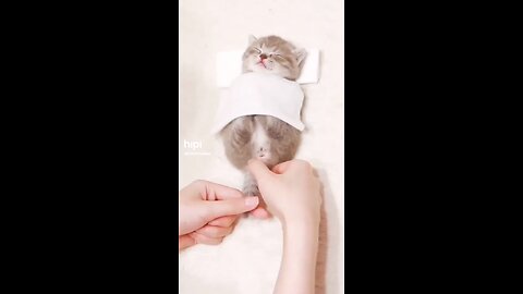 fanny video caty