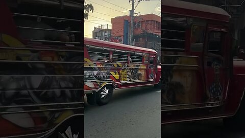 Jeepneys Galore #shortsvideo #shortvideo #philippines #travel #shortsfeed #shorts #short