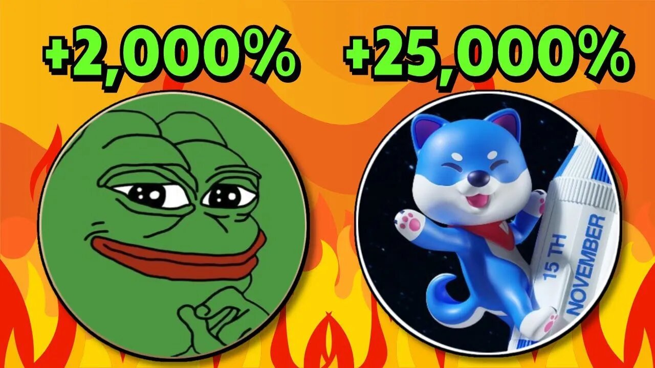 VITA INU!! THE NEXT PEPE WILL MAKE MILLIONAIRES!!