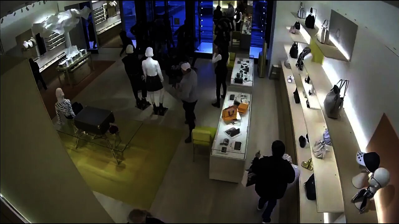 14 people loot a Louis Vuitton store near Chicago