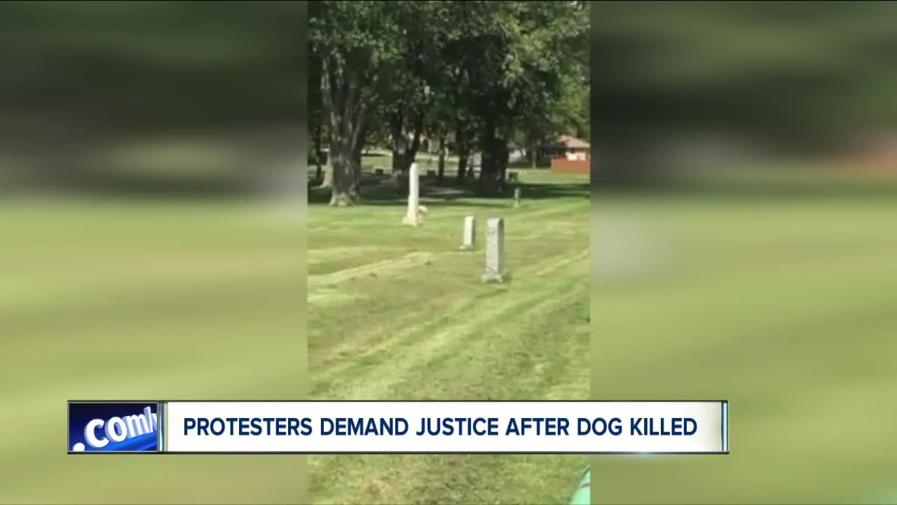 Protesters demand justice after dog killed