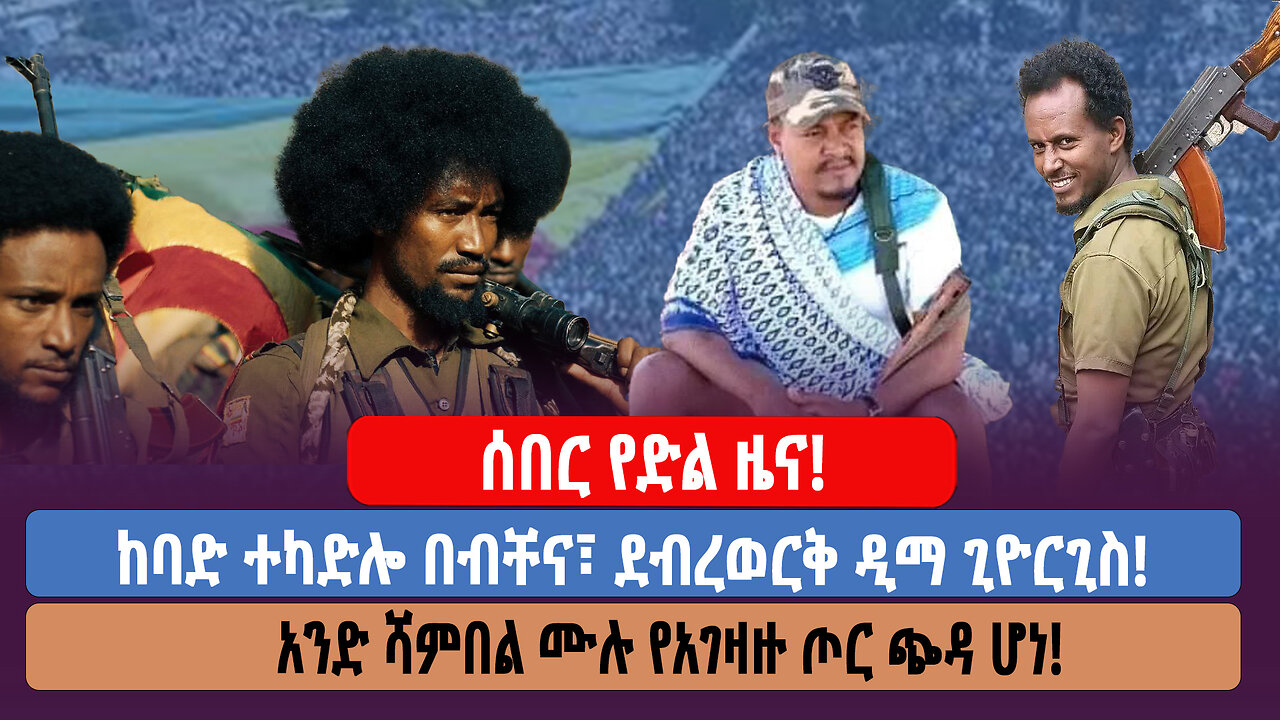 ሰበር የድል ዜና! ከባድ ተካድሎ በብቸና፣ ደብረወርቅ ዲማ ጊዮርጊስ! አንድ ሻምበል ሙሉ የአገዛዙ ጦር ጭዳ ሆነ