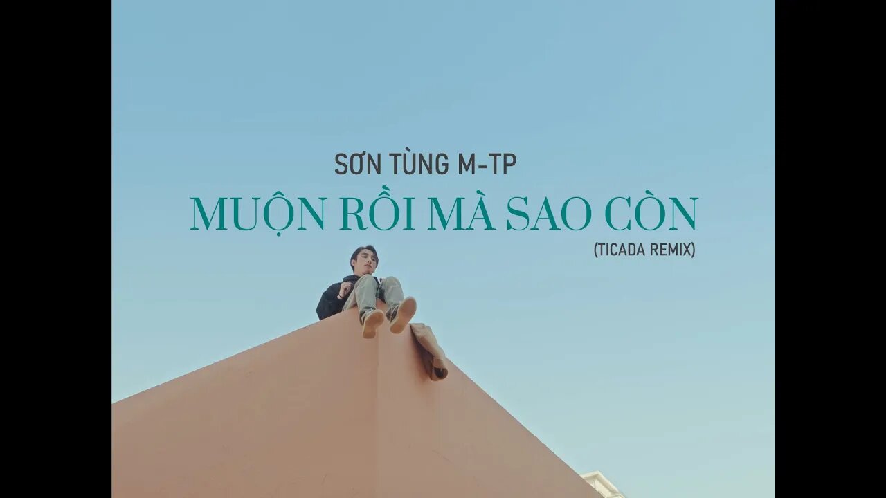 SƠN TÙNG M-TP | MUỘN RỒI MÀ SAO CÒN ( TICADA REMIX) | AUDIO LYRICS