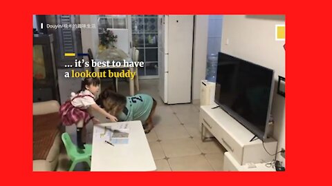 .A GIRL and A Shepherd goes* VIRAL* PARTNERS