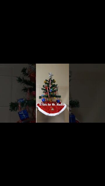 When decorating the office goes too far? #shorts