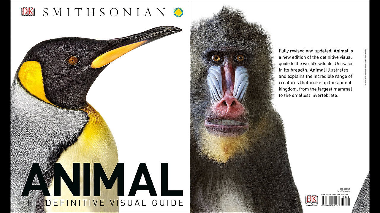 Animal: The Definitive Visual Guide